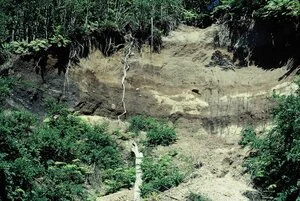 Landslide exposure of tephra deposits