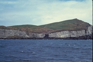 View of coastal cliffs and Lava Cascade at North-East end of Macauley Island