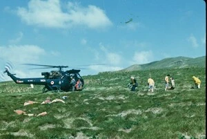 Helicopter landing on Macauley Island