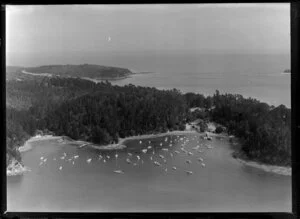 Kawau Bay, Rodney County, Auckland