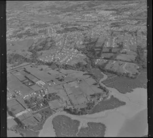 Beazley Homes, houses, Glen Eden, Waitakere City