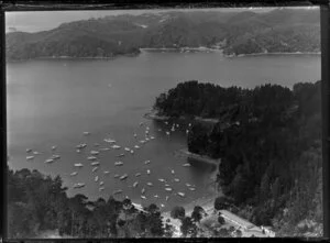 Kawau Bay, Rodney County, Auckland