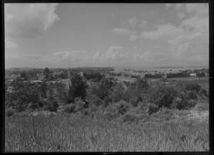 Auckland Bus Company, Godley Road area