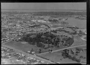 Mt Richmond domain, Auckland