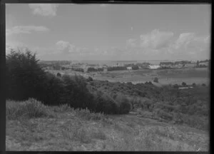 Auckland Bus Company, Godley Road area