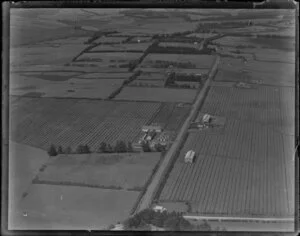 Tobacco Company, Riverhead, Auckland