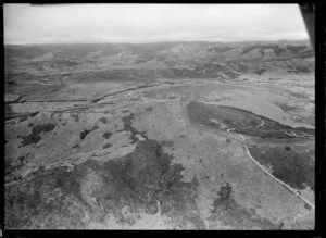 W Stevenson's Lochinvar Station, Lake Basin, Taupo