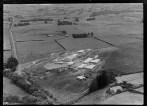 Waiuku School, Franklin County, Auckland