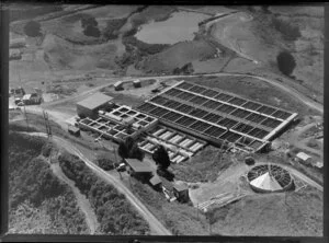 Ardmore Filter Works, Manukau, Auckland