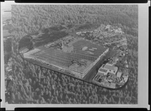 Mt Eden, Auckland, including Henderson and Pollard, timber merchants