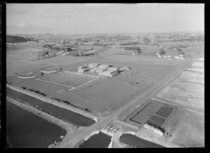 Metropolitan Drainage Board, Mangere, Auckland