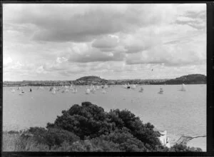 Yachts under spinnaker, Auckland