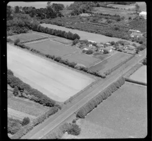 Avondale, Auckland, agricultural fields and houses