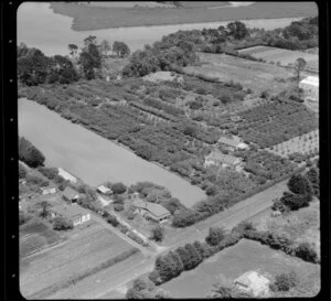 Avondale, Auckland, agricultural fields and houses