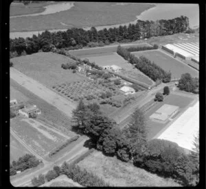 Avondale, Auckland, agricultural fields and buildings