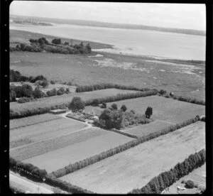 Agricultural fields and harbour, location unidentified, probably Auckland