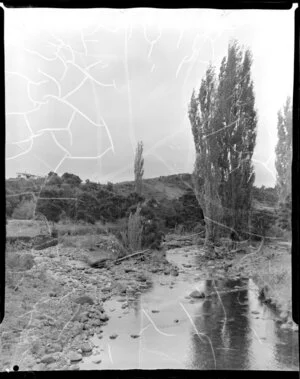 Poplars beside a stony creek, [Taheke?]