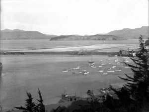 View of Lyttelton Harbour and Quail Island