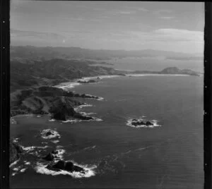 Otara Bay, Northland