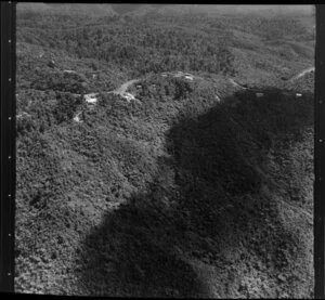 Waitakere ranges