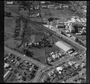 Te Papapa, Auckland, may include hospital