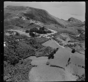 Piha, Auckland west coast