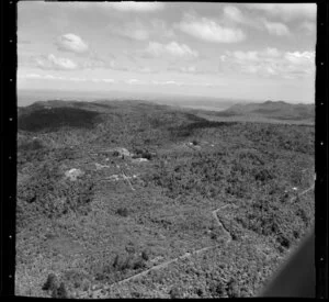 Waitakere ranges