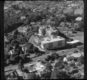 Schools in Auckland