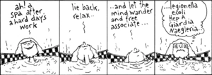 "Ah! a spa after a hard day's work.. lie back, relax.. .. and let the mind wander and free associate... ... legionella, ecoli, hep A, giardia, naegleria.. 19 February, 2008