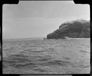 Bird Rock, Bay of Islands