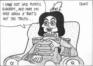 "I have not had plastic surgery, and may my nose grow if that's not the truth..." February, 2003.