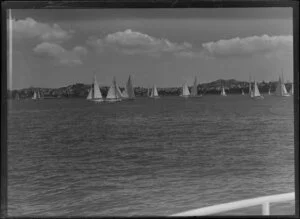 Yachting on the Hauraki Gulf