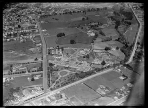 Suburb of Point Chevalier, Auckland