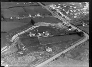 Farm land and houses, Otara, Auckland