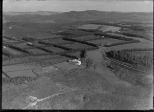 Orchard farm, Kirikiri