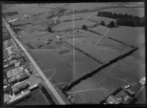 GC Goodie and Company Ltd, Otara, Manukau