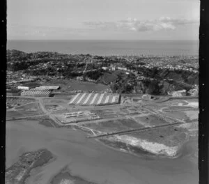 Napier Port and city