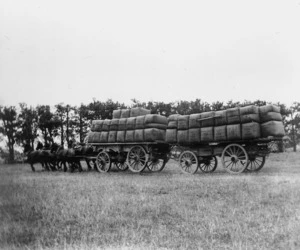 Sixty five bales of wool being carted to Masterton Railway Station