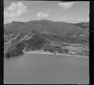 Long Bay campground, Coromandel Peninsula, Thames-Coromandel District