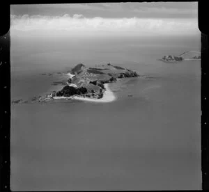 Pakatoa Island, Hauraki Gulf