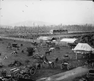 Carterton show grounds with horses and carts