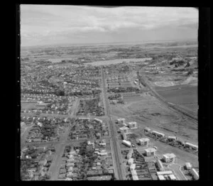 Glen Innes, Auckland, including Pilkington Road and Talbot Park state housing block