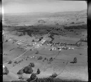 Puriri, South east of Thames