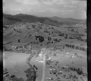 Puriri, South east of Thames