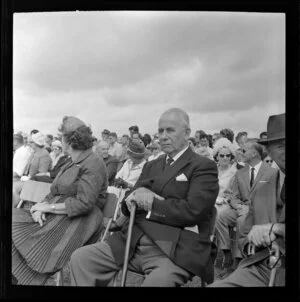 Spectators at the Royal New Zealand Aero Club pageant, Ardmore