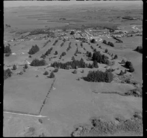 Te Kauwhata, Waikato