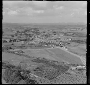 Te Kauwhata, Waikato, featuring crops