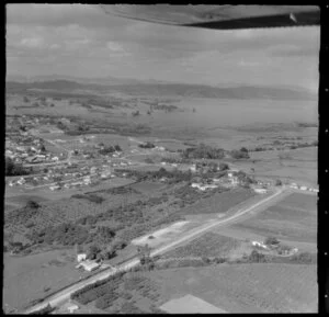 Te Kauwhata, Waikato, featuring crops