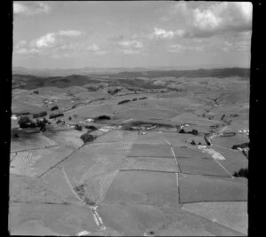 Maramarua District, Waikato Region