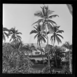 View of house and gardens, Lautoki, Fiji